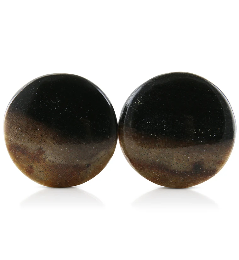 Petrified Wood Plugs 3-4" (19mm) Version 1