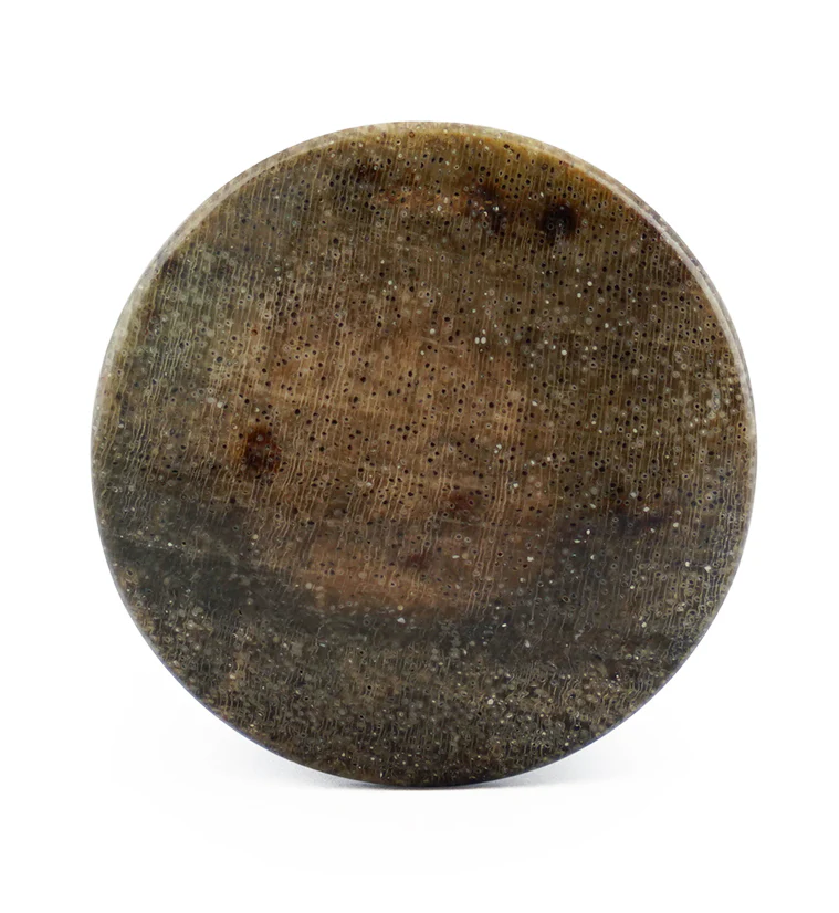 Petrified Wood Plugs - Image 3