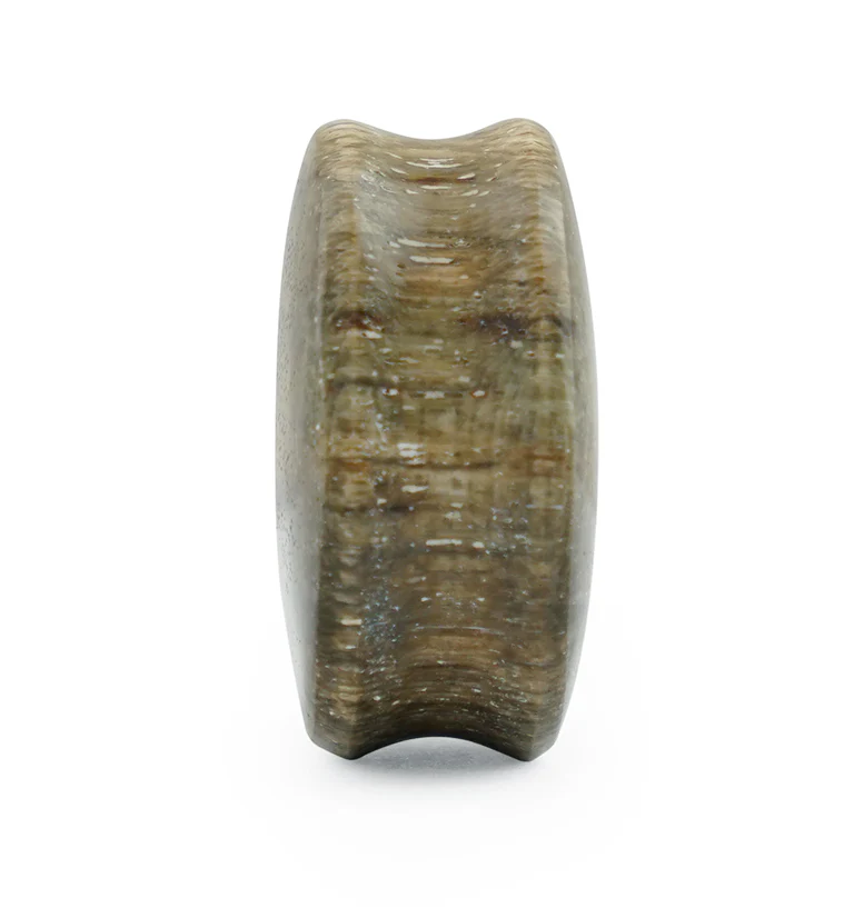 Petrified Wood Plugs - Image 4