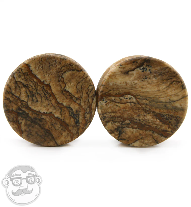 Picture Jasper Stone Plugs - Image 6