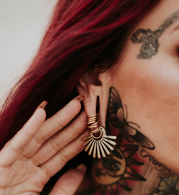 Pinna Brass Hinged Ear Weights - Image 5