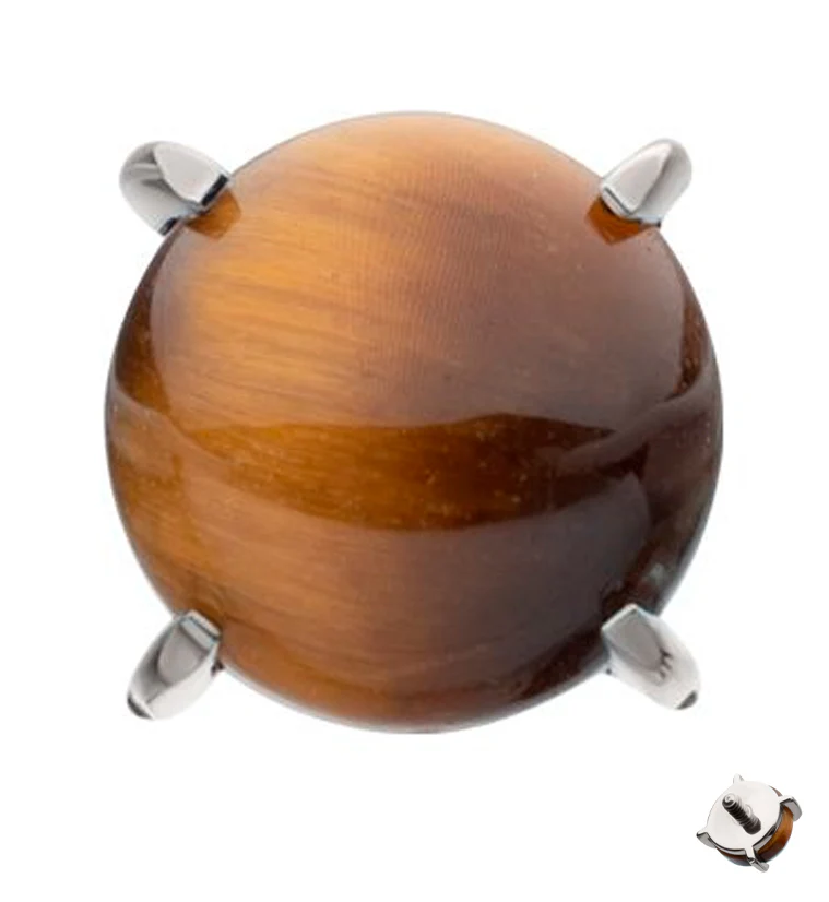 Prong Set Tiger Eye Stone Titanium Internally Threaded Top