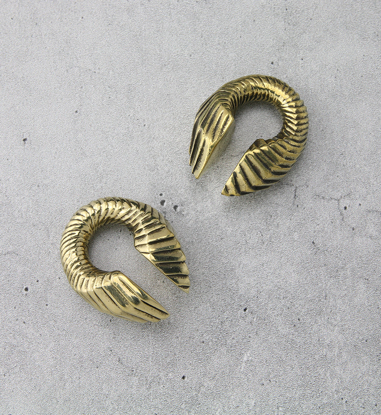 Proxy Keyhole Brass Ear Weights - Image 2