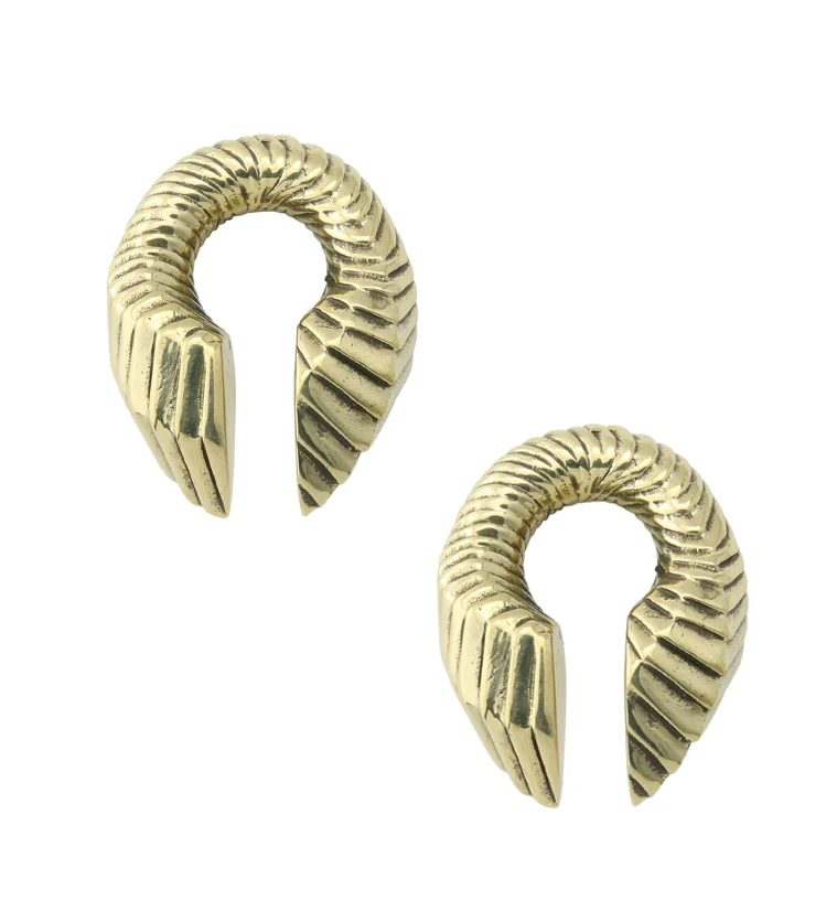 Proxy Keyhole Brass Ear Weights - Image 3
