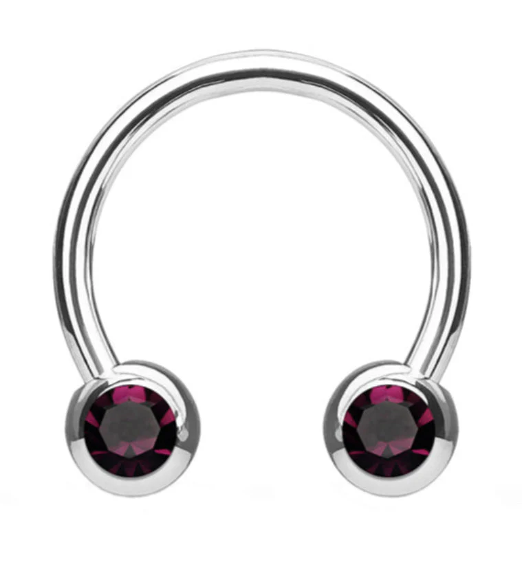 Purple CZ Steel Stainless Circular Barbell