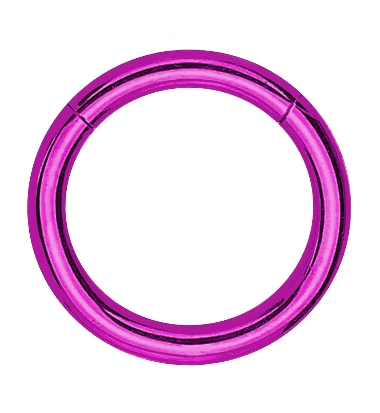 Purple PVD Hinged Stainless Steel Segment Hoop Ring