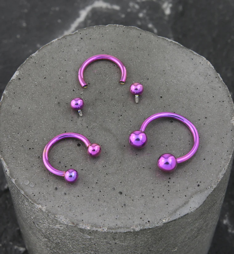 Purple PVD Titanium Circular Barbell - Image 2