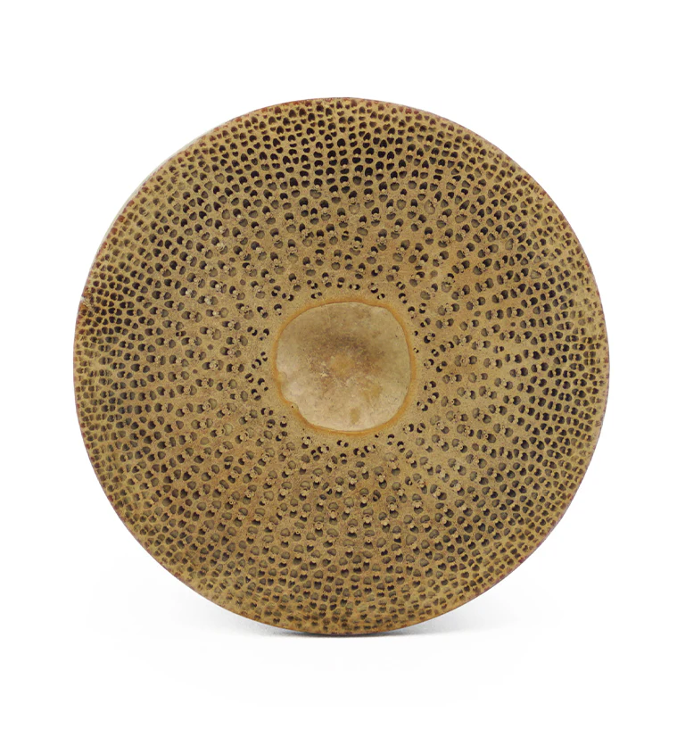 Raw Bamboo Plugs - Image 3