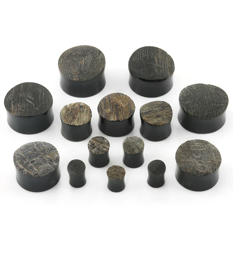 Raw Buffalo Horn Plugs - Image 4