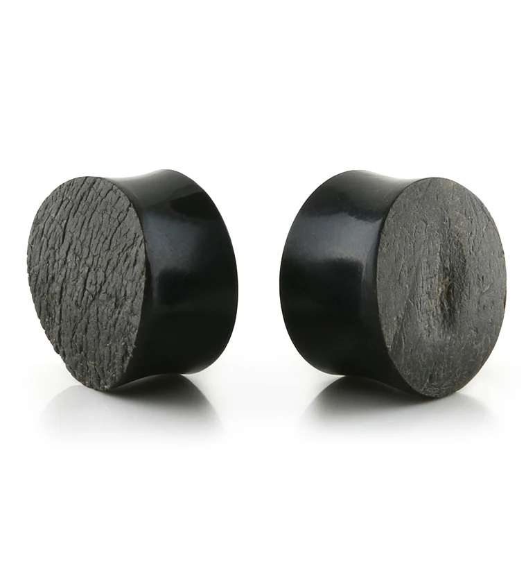 Raw Buffalo Horn Plugs - Image 9