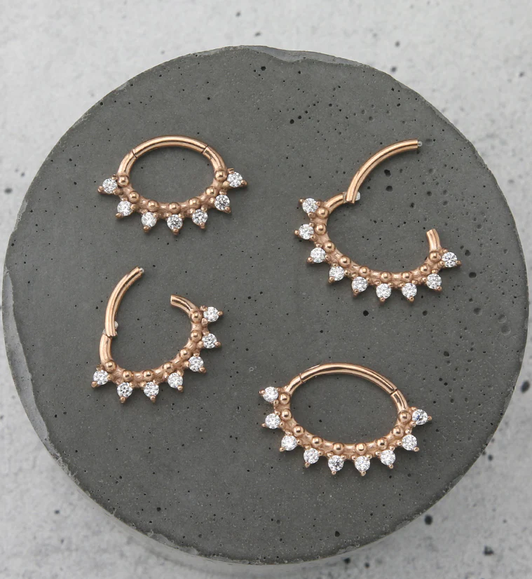 Rose Gold PVD Ellipse CZ Hinged Segment Ring - Image 2