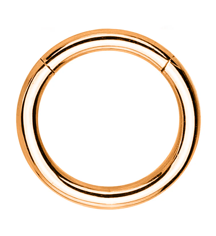 Rose Gold PVD Hinged Stainless Steel Segment Hoop Ring