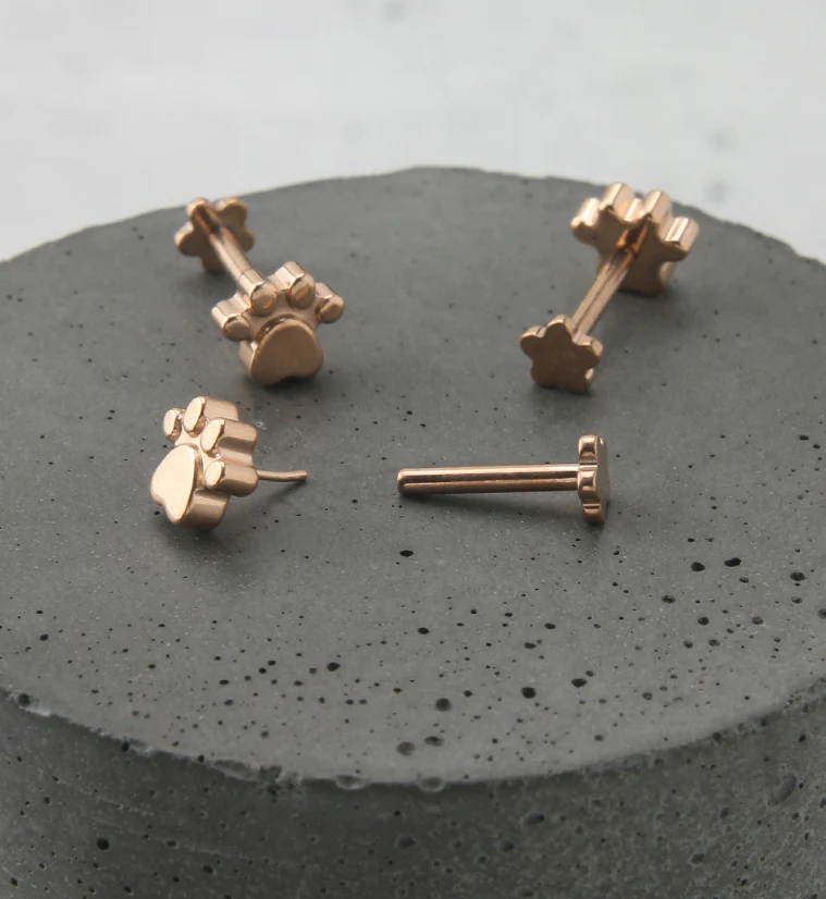Rose Gold PVD Paw Print Titanium Threadless Labret - Image 2