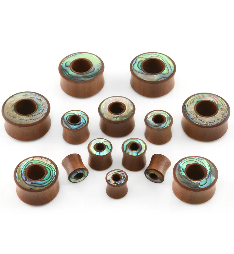 Saba Wood Tunnel Plugs With Abalone Shell Inlay - Image 2
