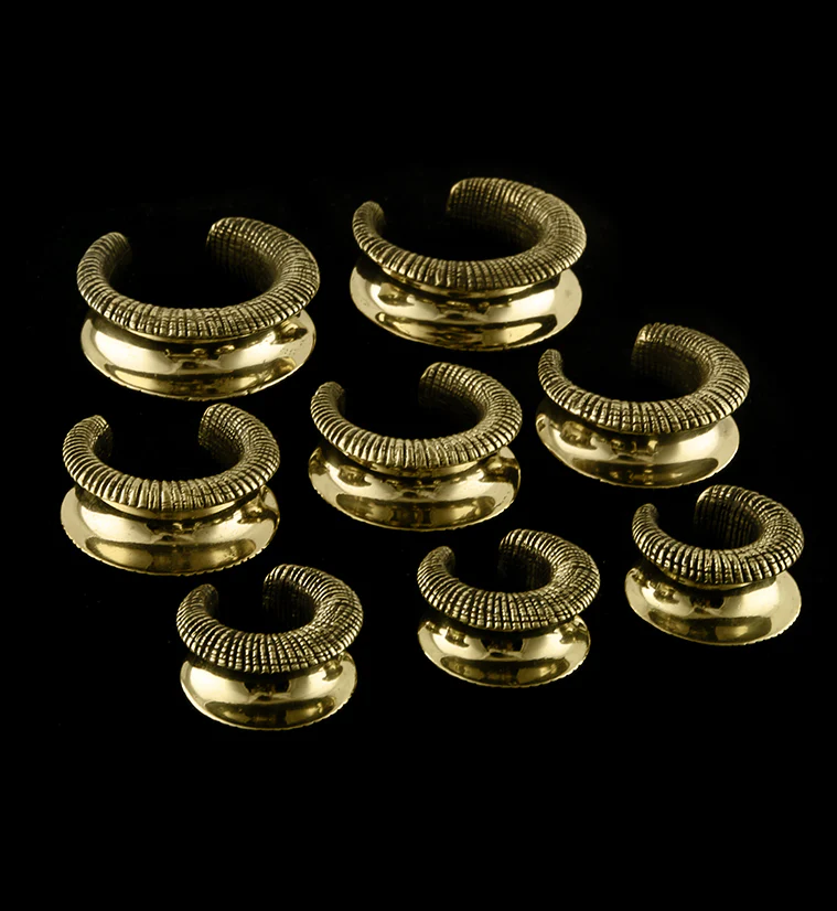 Score Brass Saddles - Image 2