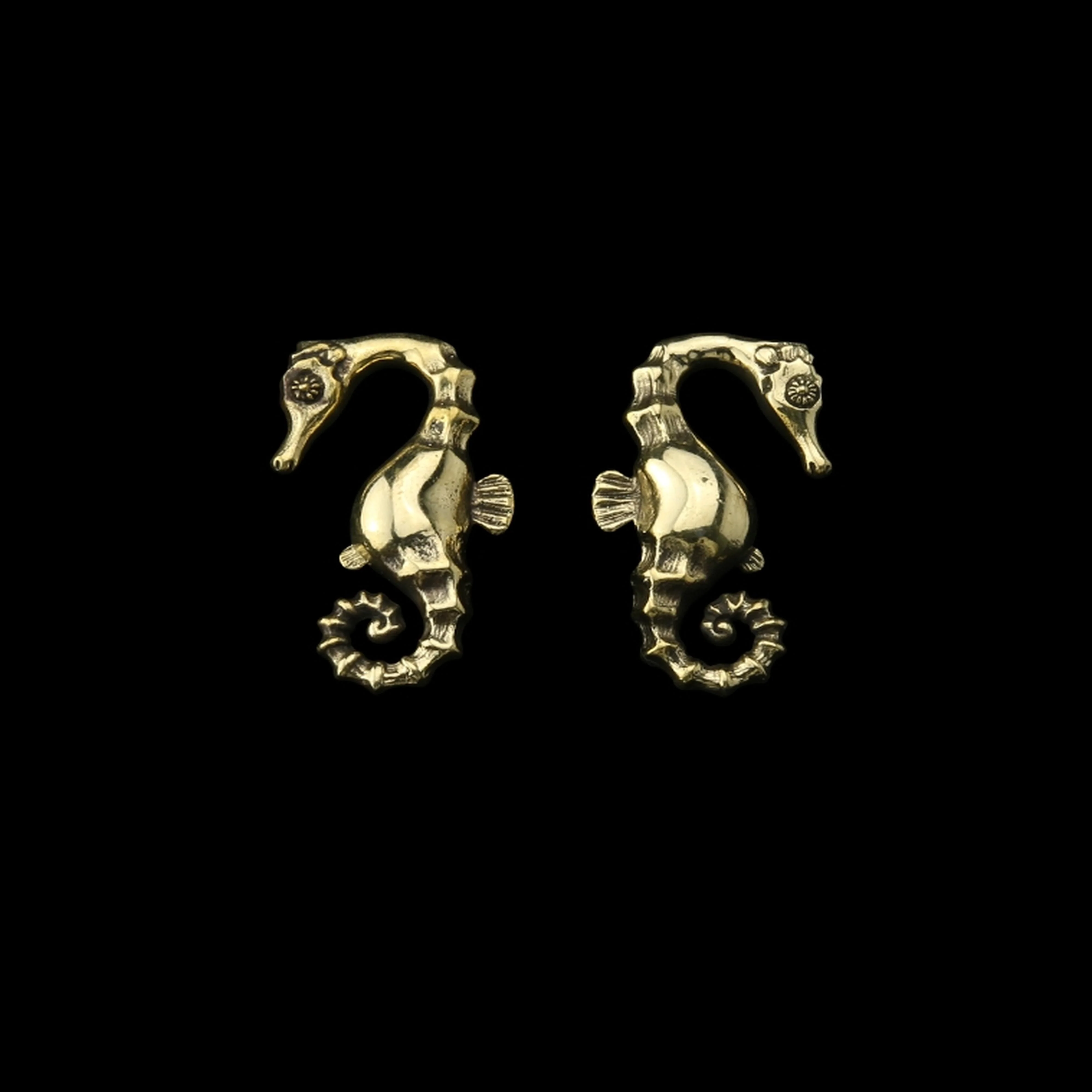Seahorse Ear Weights - Image 2