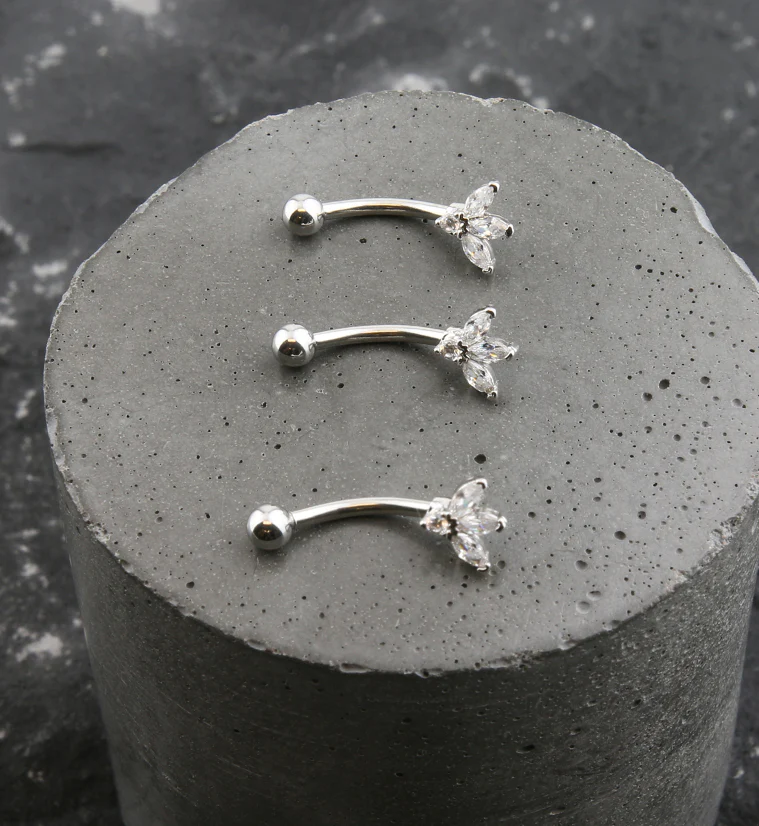 Sepal Clear CZ Stainless Steel Curved Barbell - Image 2