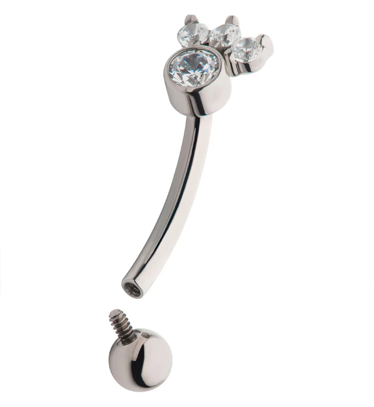 Sepal CZ Internally Threaded Titanium Curved Barbell - Image 3