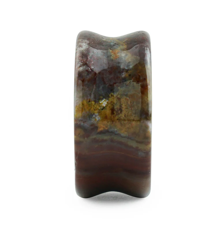 Serape Agate Stone Plugs - Image 4