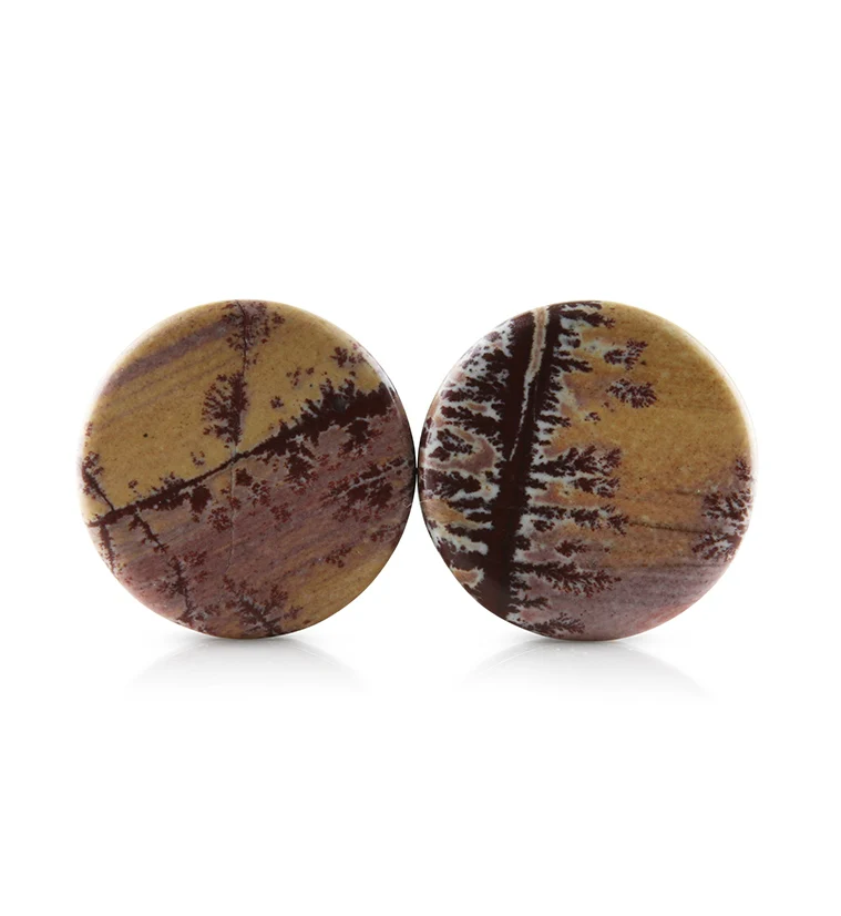Sonoran Dendritic Rhyolite Stone Plugs 3-4" (19mm)