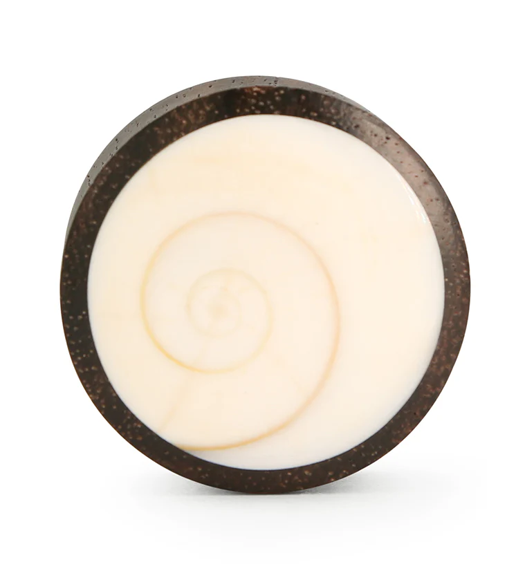 Spiral Sea Shell Inlay Wood Plugs - Image 6