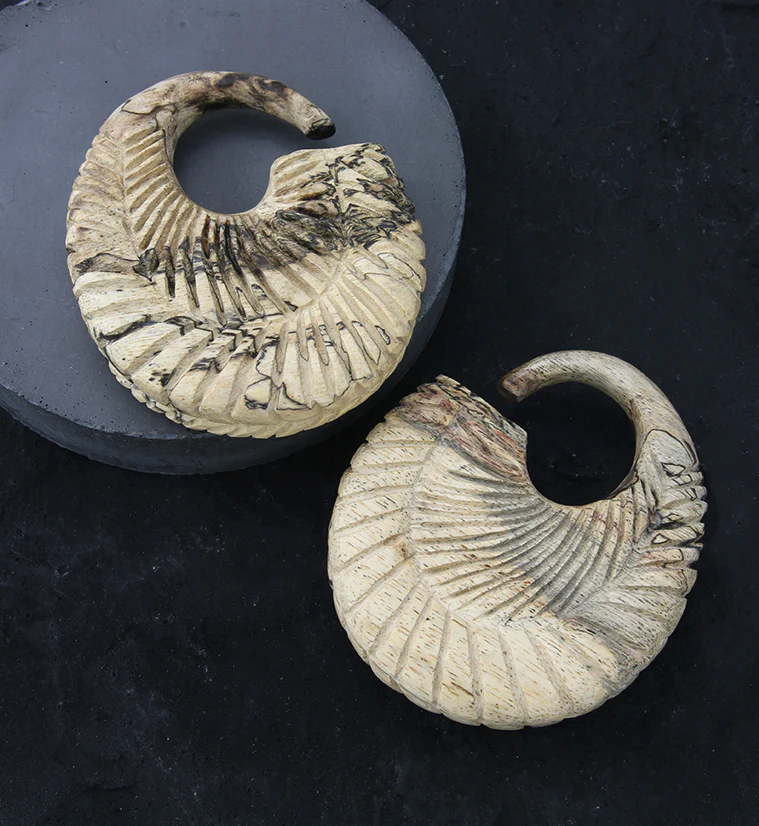 Teardrop Groove Tamarind Wood Hoop Plugs - Image 2