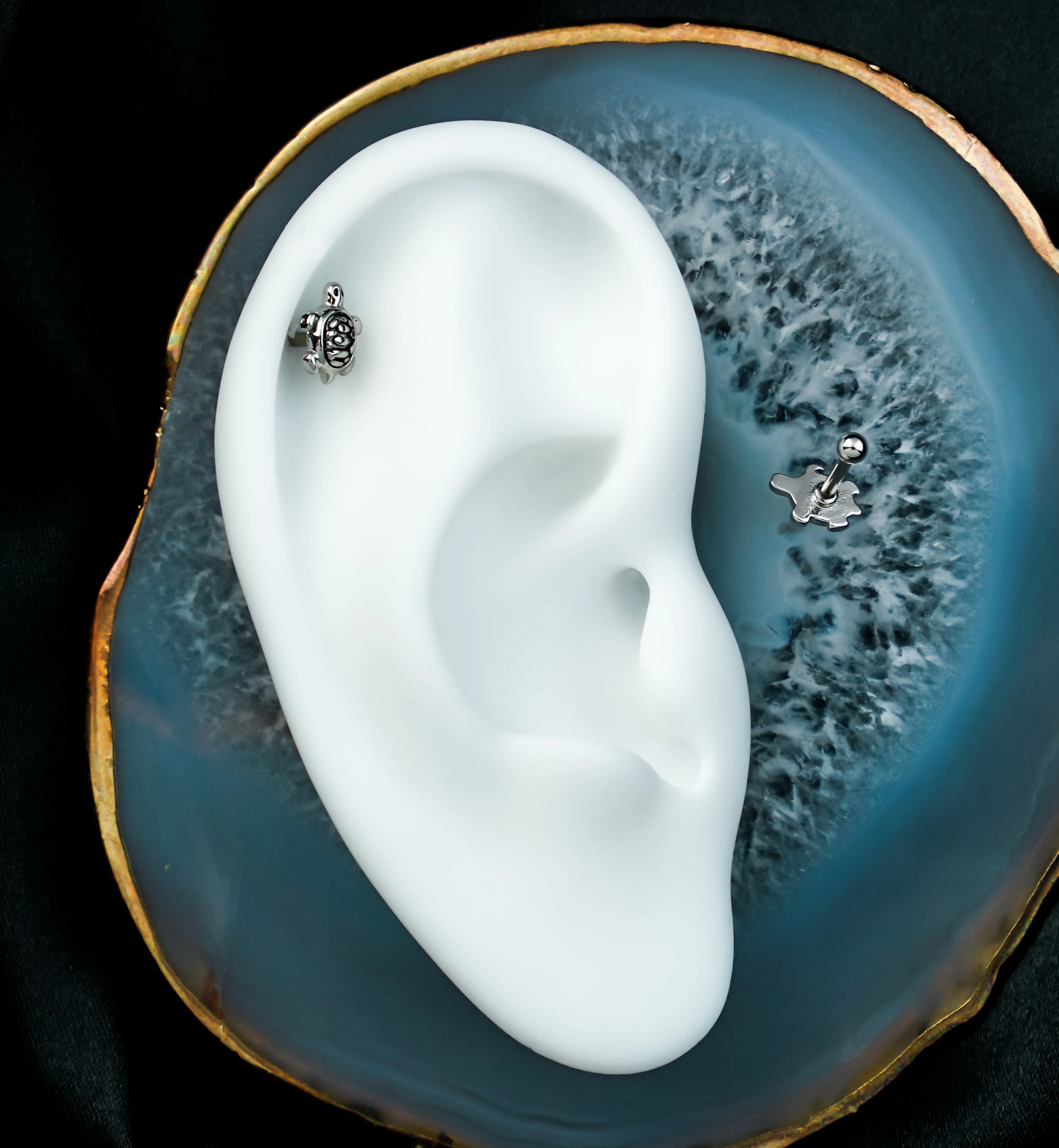 Turtle Cartilage Barbell - Image 2