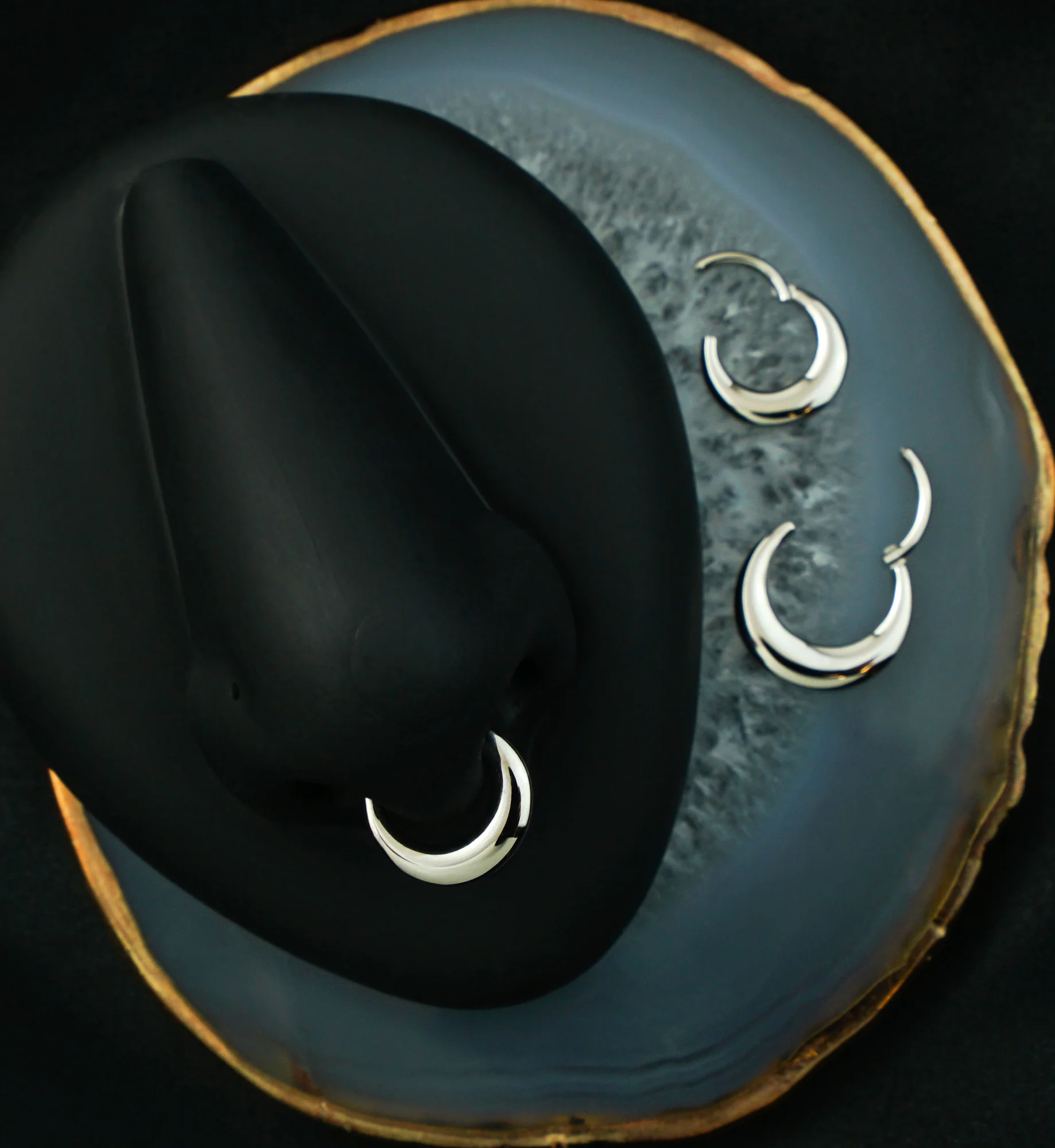Vast Stainless Steel Hinged Segment Ring - Image 3