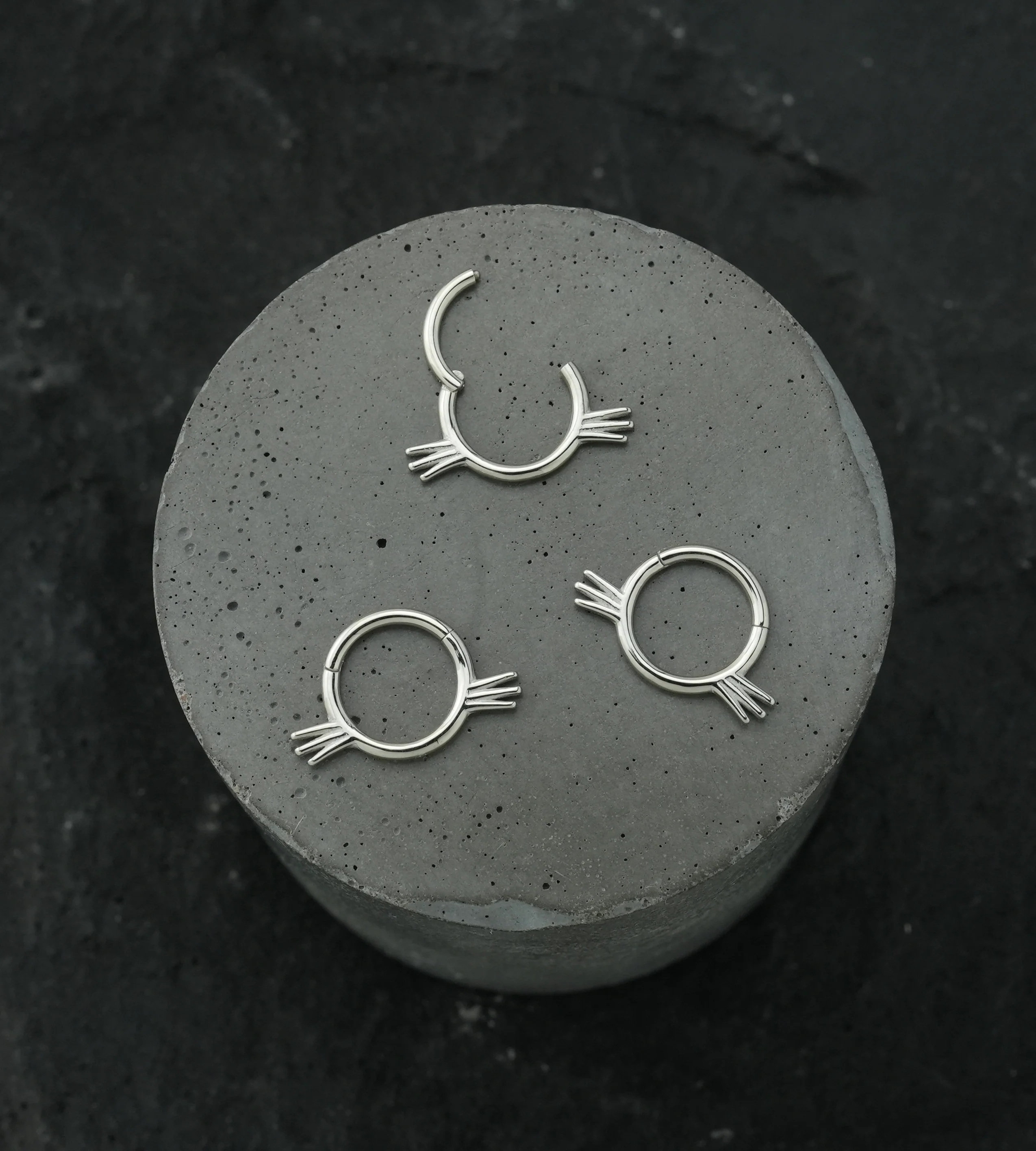 Whiskers Stainless Steel Hinged Segment Ring - Image 2