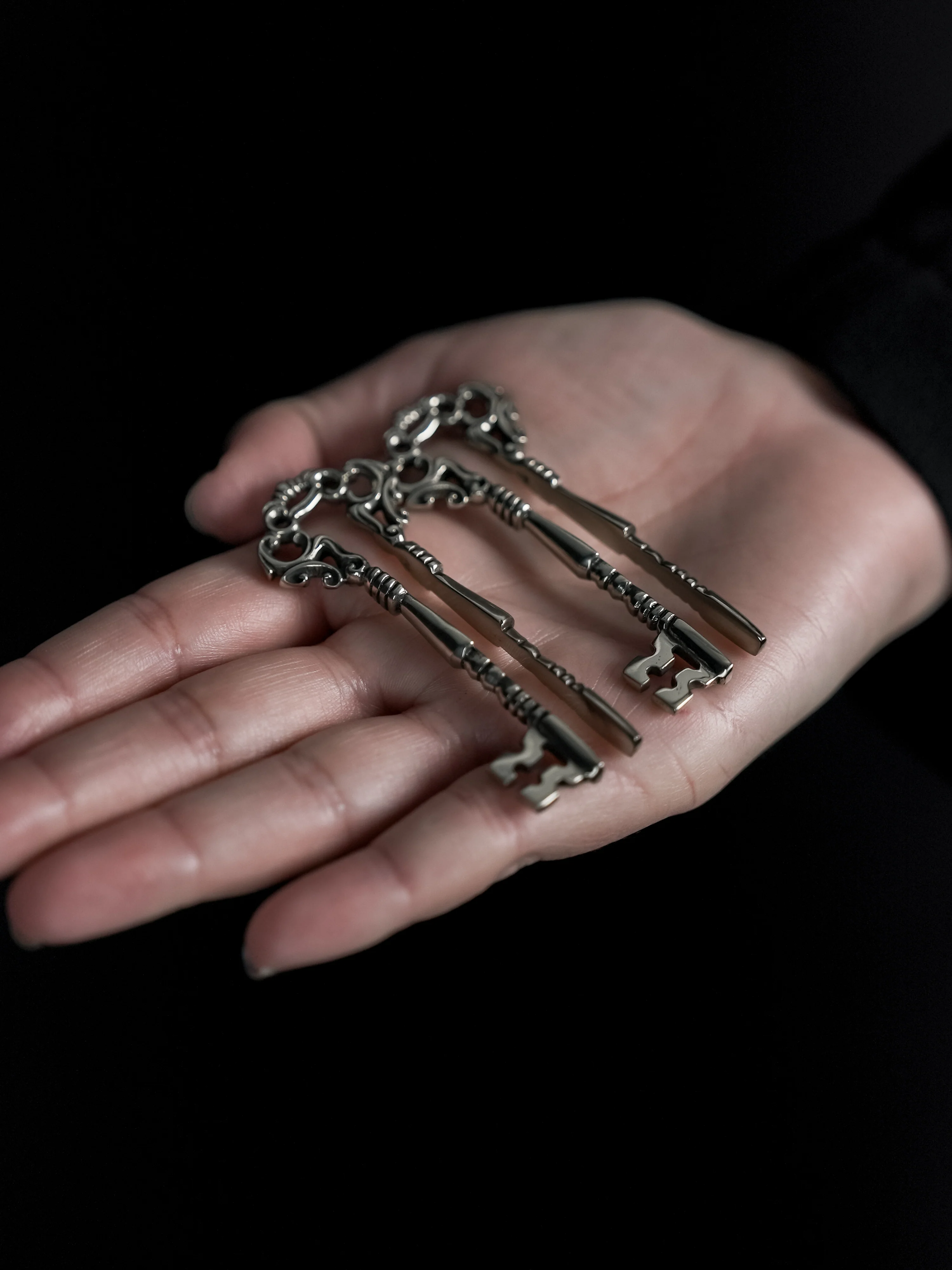 White Brass Skeleton Key Ear Weights - Image 6