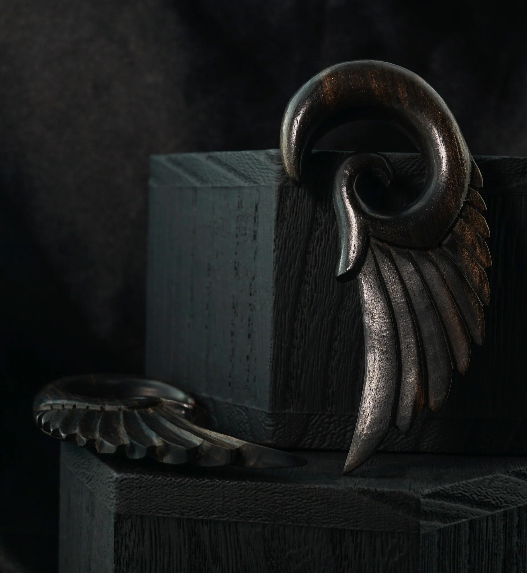 Wooden Feather Spiral Plugs - Image 2