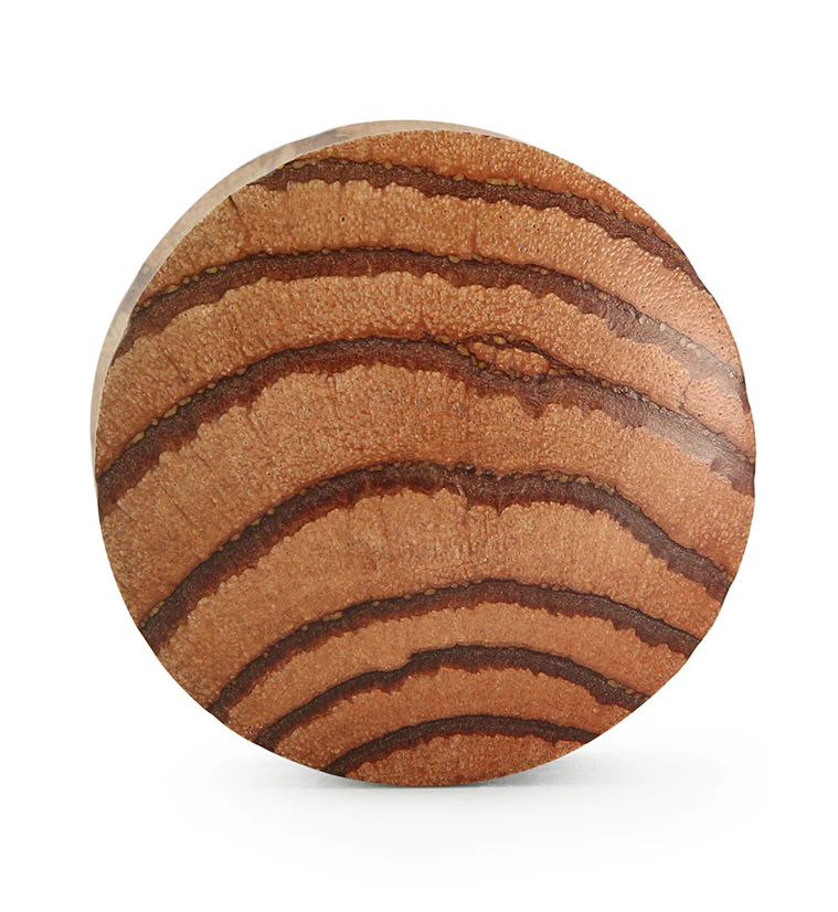 Zebrawood Plugs - Image 3